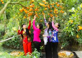 Tour Hà Nội - Cần Thơ - Cao Lãnh - Châu Đốc - An Giang 4 Ngày 3 Đêm (bay VietnamAirlines)