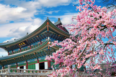 Du lịch Hàn Quốc tháng 3 - Thời tiết, địa điểm và lưu ý khi tham quan