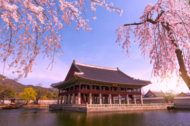 Du lịch Hàn Quốc tháng 4: Tổng hợp kinh nghiệm và địa điểm hấp dẫn
