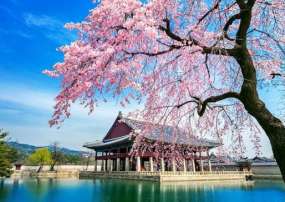 DU LỊCH 2026 HÀ NỘI – NHA TRANG – NINH THUẬN - HÀ NỘI