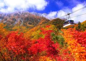 TOUR HOKKAIDO 2026 MÙA THU: SAPPORO - OTARU 6N5Đ