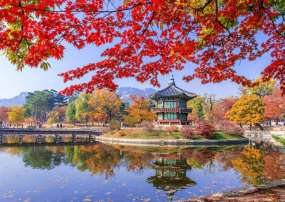 TOUR HÀN QUỐC 6N5Đ: SEOUL - BUSAN - ĐẢO NAMI