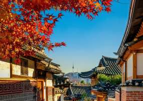 TOUR HÀN QUỐC MÙA THU 2026: NAMI - EVERLAND - HÁI TÁO
