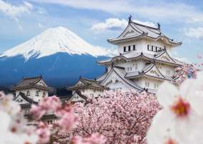 NHẬT BẢN 2026: TOKYO - PHÚ SĨ - KYOTO - OSAKA 6N5Đ