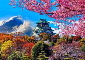 TOUR NHẬT BẢN: OSAKA - NARA - PHÚ SĨ - TOKYO 6N5Đ