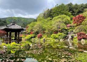 KHÁM PHÁ HÀN QUỐC HÈ 2026: SEOUL - NAMI - EVERLAND 5N4Đ