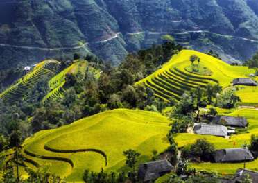 Du Lịch Hà Giang - Hoàng Su Phì -Xín Mần Bắc Hà 3 Ngày