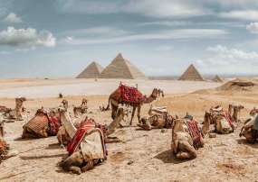 TOUR DU LỊCH AI CẬP CAIRO - BAHARIYA – ALEXANDRIA - ASWAN - LUXOR - BIỂN ĐỎ
