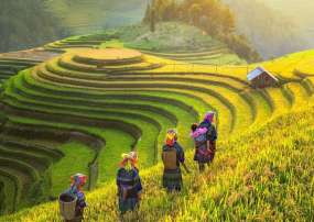 TOUR 2026 MÙ CANG CHẢI - SAPA - FANSIPAN LAI CHÂU - ĐIỆN BIÊN - MỘC CHÂU - MAI CHÂU