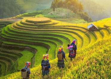 TOUR 2026 MÙ CANG CHẢI - SAPA - FANSIPAN LAI CHÂU - ĐIỆN BIÊN - MỘC CHÂU - MAI CHÂU